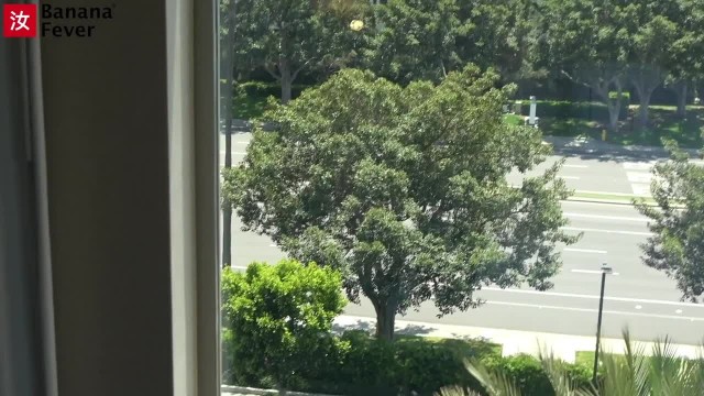 Превью Девица с маленькими сиськами получает оргазм № 44149