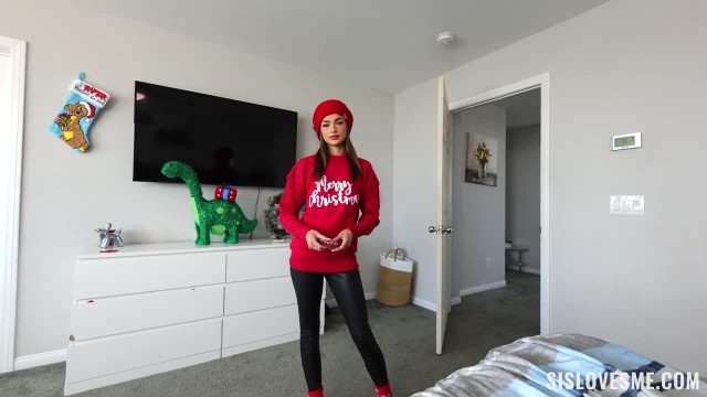 Превью Идеальное Рождество наедине со своей сестрой № 47338